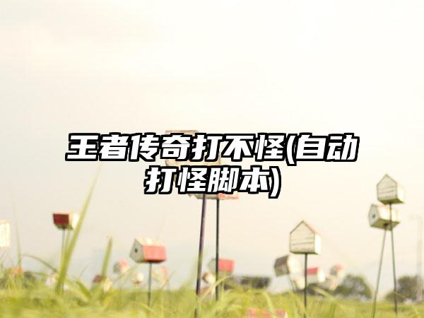 王者传奇打不怪(自动打怪脚本)