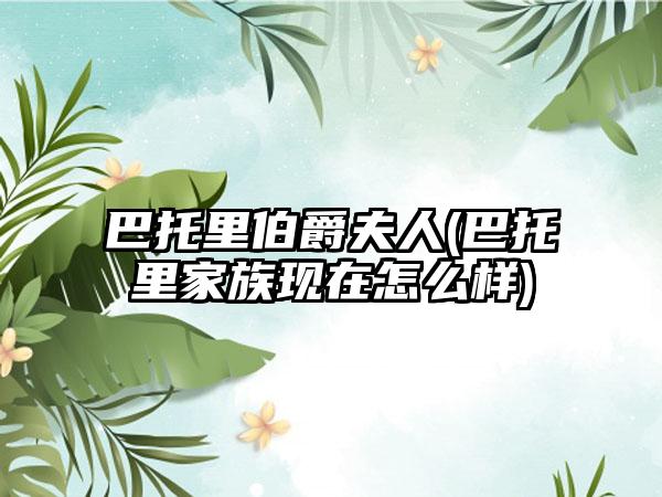 巴托里伯爵夫人(巴托里家族现在怎么样)