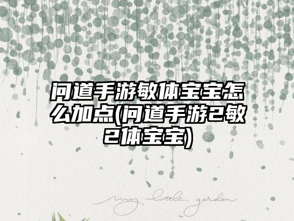 问道手游敏体宝宝怎么加点(问道手游2敏2体宝宝)