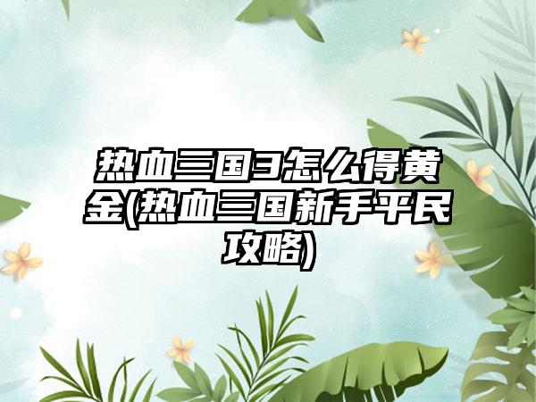 热血三国3怎么得黄金(热血三国新手平民攻略)