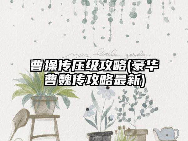 曹操传压级攻略(豪华曹魏传攻略最新)