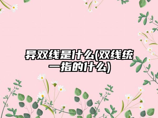 异双线是什么(双线统一指的什么)