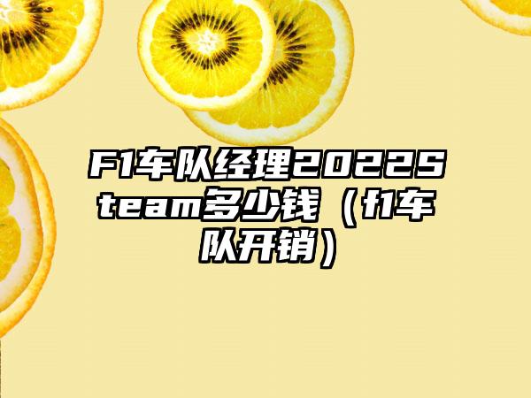 F1车队经理2022Steam多少钱（f1车队开销）