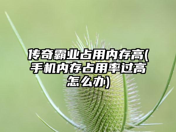 传奇霸业占用内存高(手机内存占用率过高怎么办)