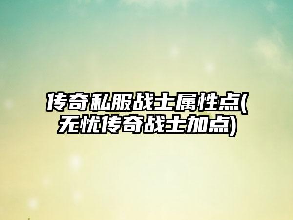 传奇私服战士属性点(无忧传奇战士加点)