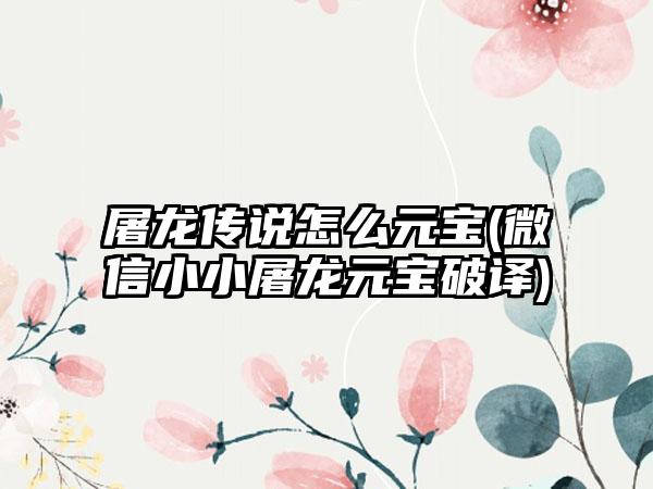屠龙传说怎么元宝(微信小小屠龙元宝破译)