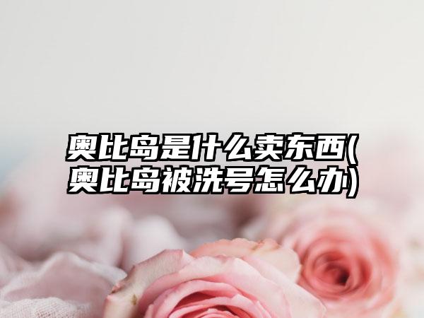 奥比岛是什么卖东西(奥比岛被洗号怎么办)