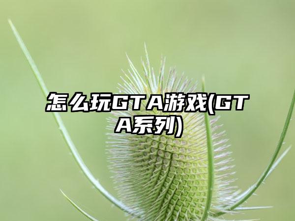 怎么玩GTA游戏(GTA系列)