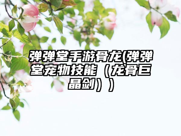 弹弹堂手游骨龙(弹弹堂宠物技能（龙骨巨晶剑）)