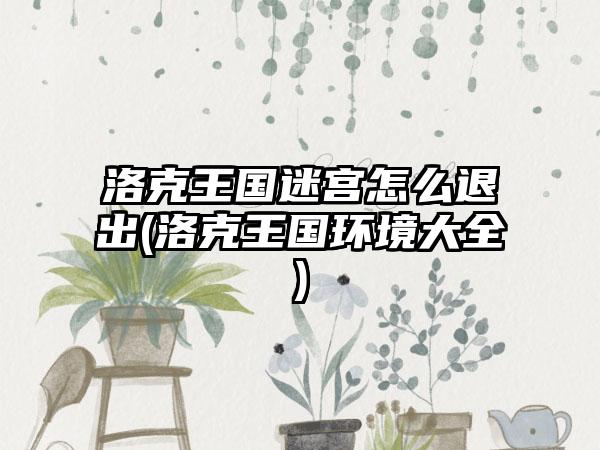 洛克王国迷宫怎么退出(洛克王国环境大全)