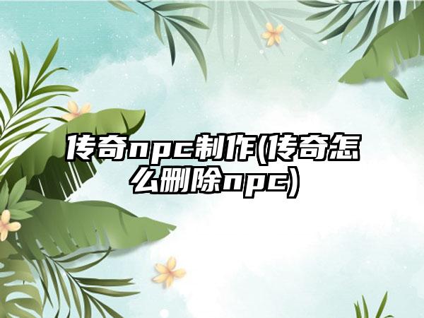 传奇npc制作(传奇怎么删除npc)