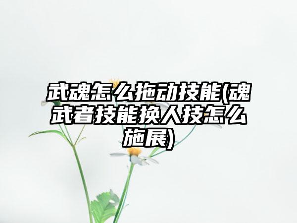 武魂怎么拖动技能(魂武者技能换人技怎么施展)