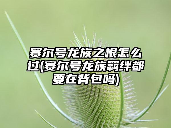 赛尔号龙族之根怎么过(赛尔号龙族羁绊都要在背包吗)