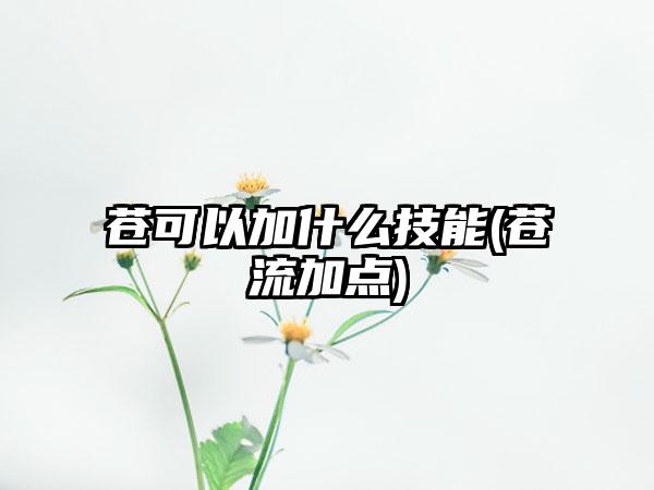 苍可以加什么技能(苍流加点)