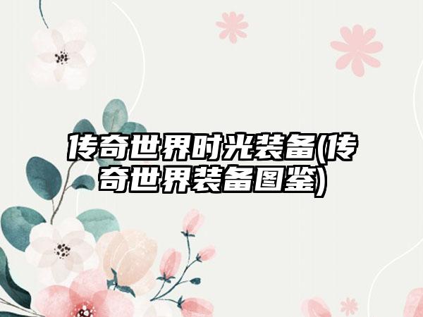 传奇世界时光装备(传奇世界装备图鉴)