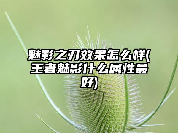 魅影之刃效果怎么样(王者魅影什么属性最好)