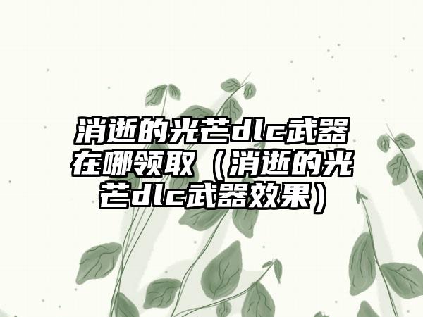 消逝的光芒dlc武器在哪领取（消逝的光芒dlc武器效果）