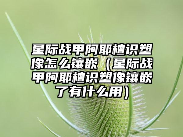 星际战甲阿耶檀识塑像怎么镶嵌（星际战甲阿耶檀识塑像镶嵌了有什么用）