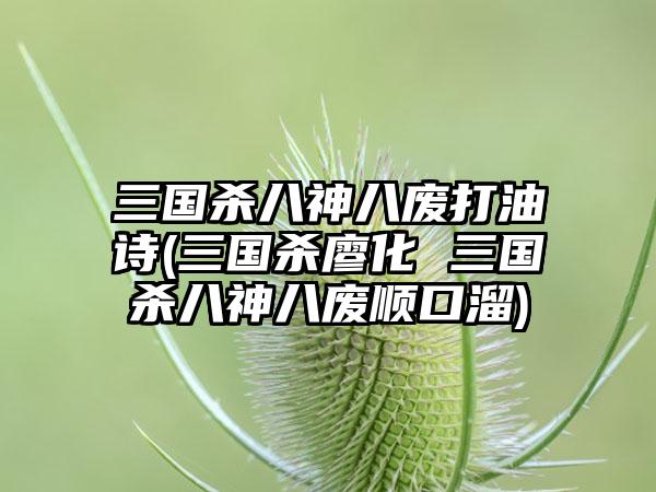 三国杀八神八废打油诗(三国杀廖化 三国杀八神八废顺口溜)