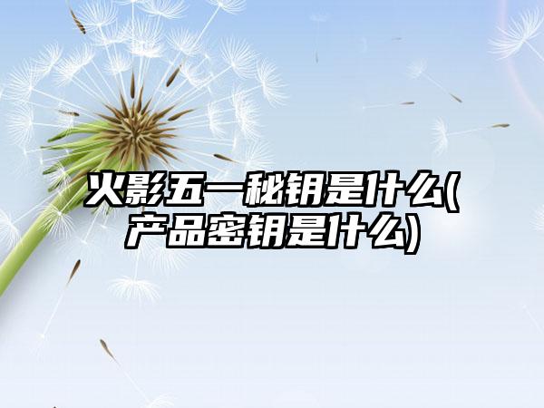 火影五一秘钥是什么(产品密钥是什么)