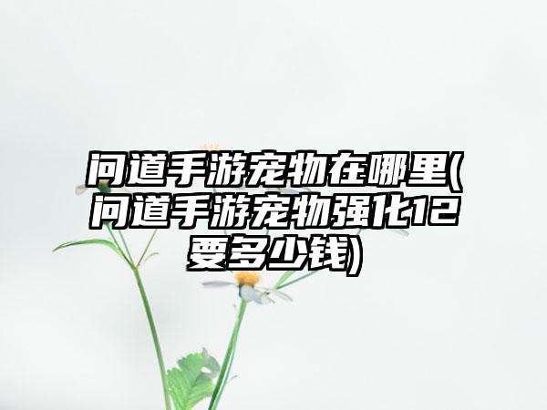 问道手游宠物在哪里(问道手游宠物强化12要多少钱)