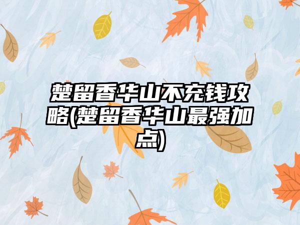 楚留香华山不充钱攻略(楚留香华山最强加点)