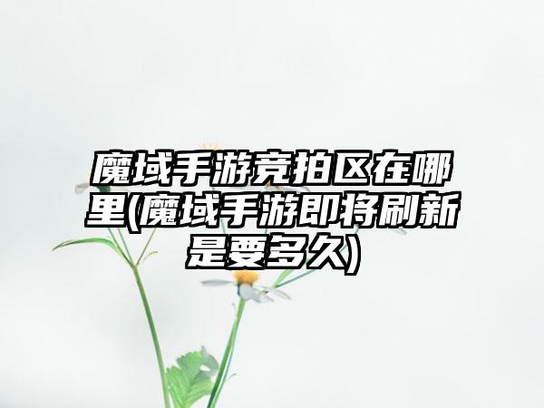 魔域手游竞拍区在哪里(魔域手游即将刷新是要多久)