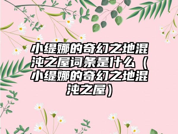 小缇娜的奇幻之地混沌之屋词条是什么（小缇娜的奇幻之地混沌之屋）