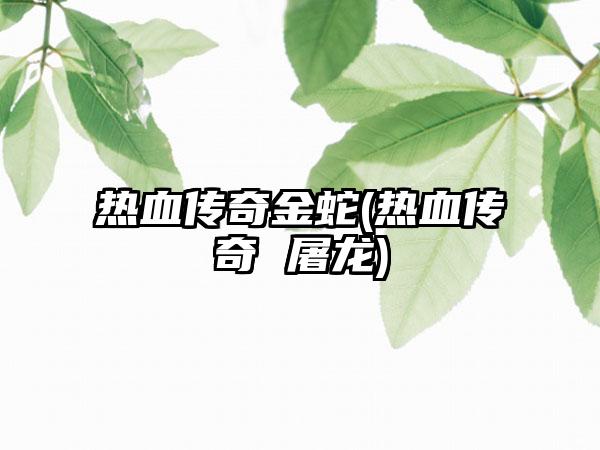 热血传奇金蛇(热血传奇 屠龙)