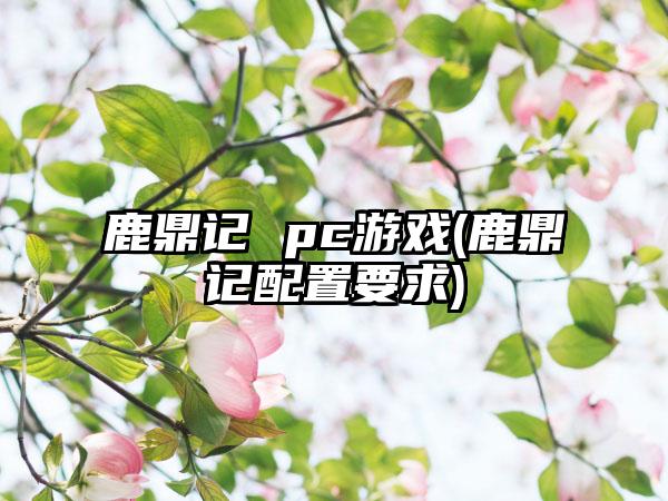 鹿鼎记 pc游戏(鹿鼎记配置要求)