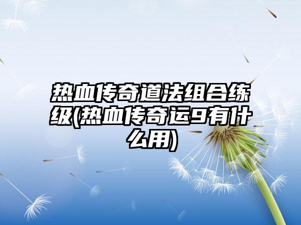 热血传奇道法组合练级(热血传奇运9有什么用)
