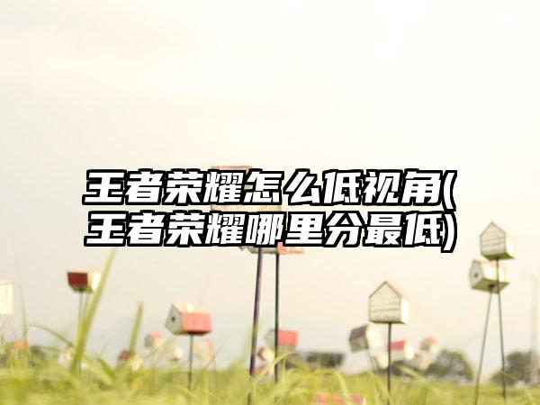 王者荣耀怎么低视角(王者荣耀哪里分最低)