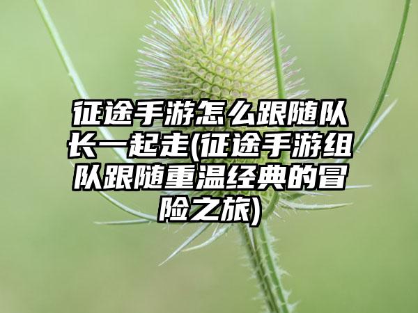 征途手游怎么跟随队长一起走(征途手游组队跟随重温经典的冒险之旅)