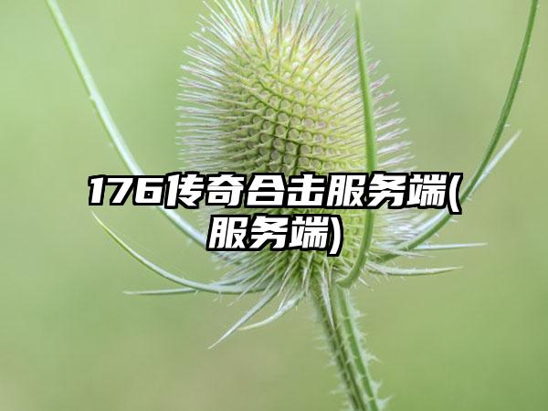 176传奇合击服务端(服务端)