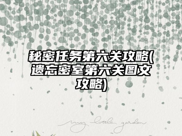 秘密任务第六关攻略(遗忘密室第六关图文攻略)