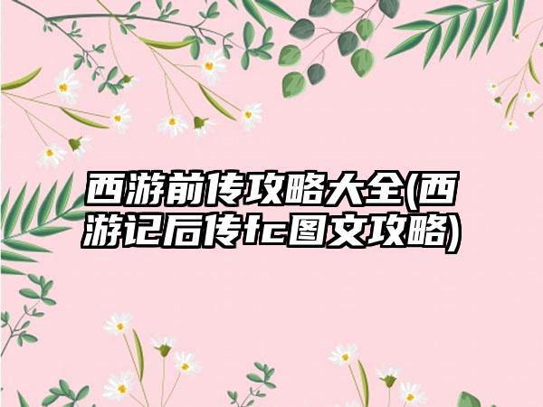 西游前传攻略大全(西游记后传fc图文攻略)