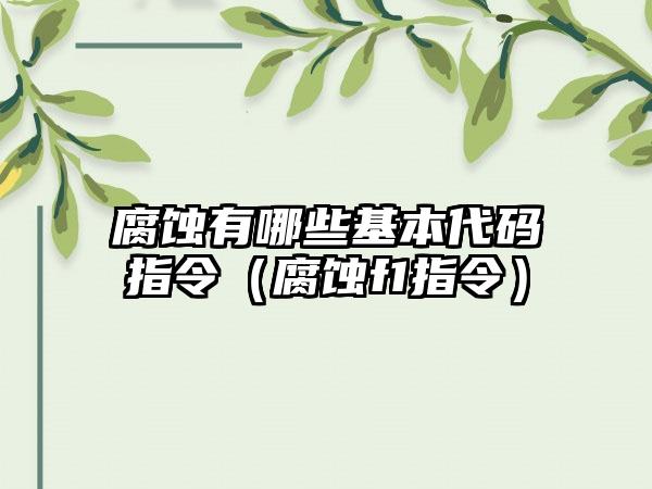 腐蚀有哪些基本代码指令（腐蚀f1指令）