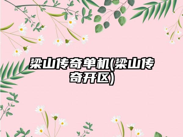 梁山传奇单机(梁山传奇开区)