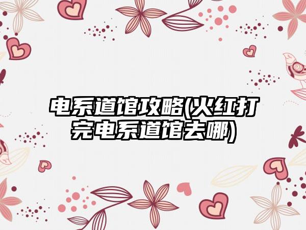 电系道馆攻略(火红打完电系道馆去哪)