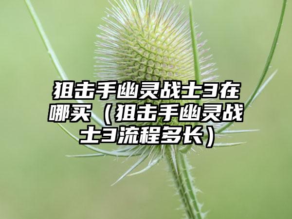 狙击手幽灵战士3在哪买（狙击手幽灵战士3流程多长）