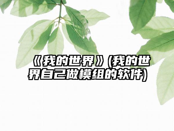 《我的世界》(我的世界自己做模组的软件)
