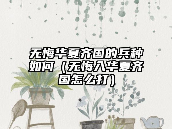 无悔华夏齐国的兵种如何（无悔入华夏齐国怎么打）