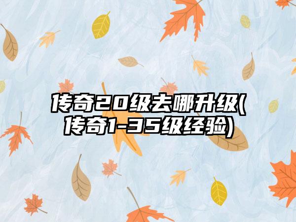 传奇20级去哪升级(传奇1-35级经验)