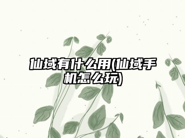 仙域有什么用(仙域手机怎么玩)