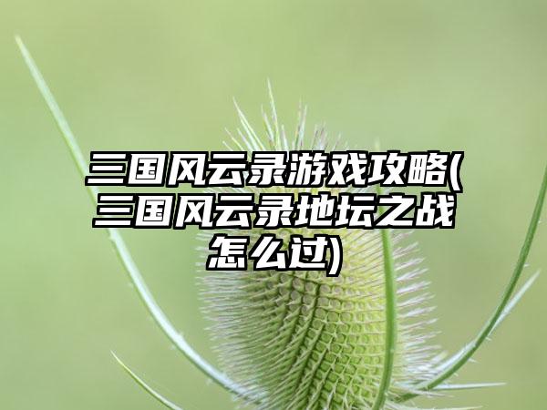 三国风云录游戏攻略(三国风云录地坛之战怎么过)