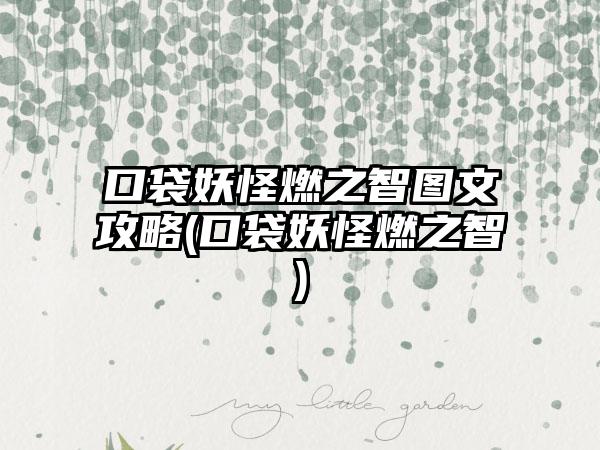 口袋妖怪燃之智图文攻略(口袋妖怪燃之智)