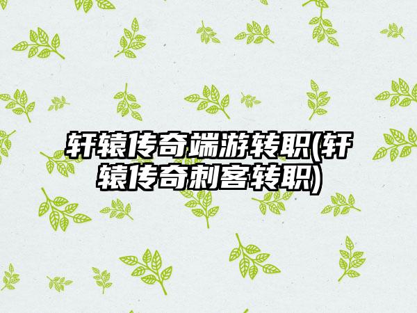 轩辕传奇端游转职(轩辕传奇刺客转职)