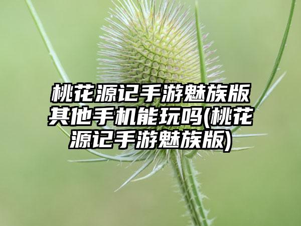 桃花源记手游魅族版其他手机能玩吗(桃花源记手游魅族版)