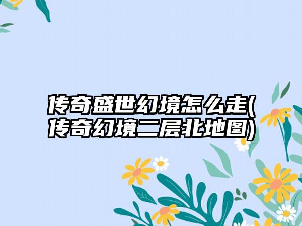 传奇盛世幻境怎么走(传奇幻境二层北地图)