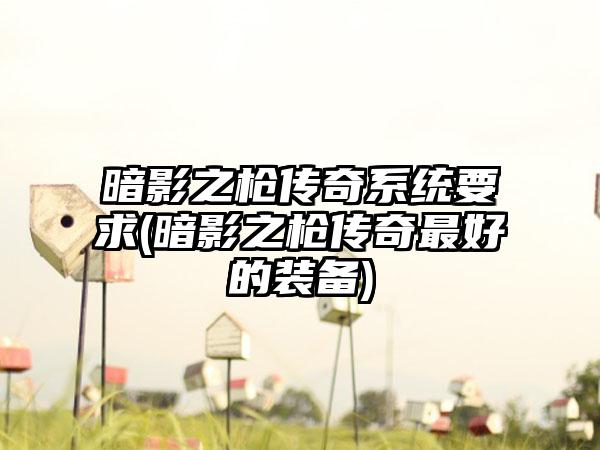 暗影之枪传奇系统要求(暗影之枪传奇最好的装备)